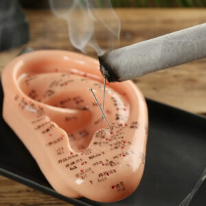 taller de auriculoterapia y moxibustion